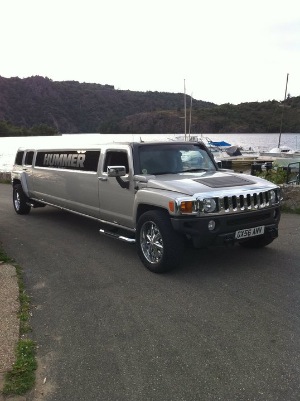 AMS LIMOUSINE