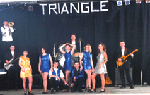 Groupe Triangle logo