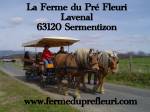 EARL du Pré Fleuri logo
