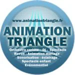 Logo Animation Triangle - orchestre, dj, spectacle