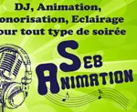 Logo Seb Animation